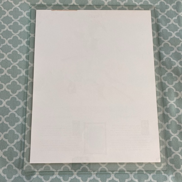 Postal Commemorative Society Florida State Bird Print  & Stamp - Picture 9 of 9